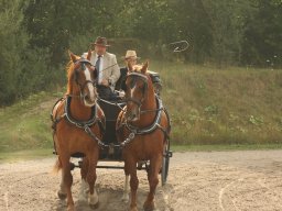 IMG_0733_web